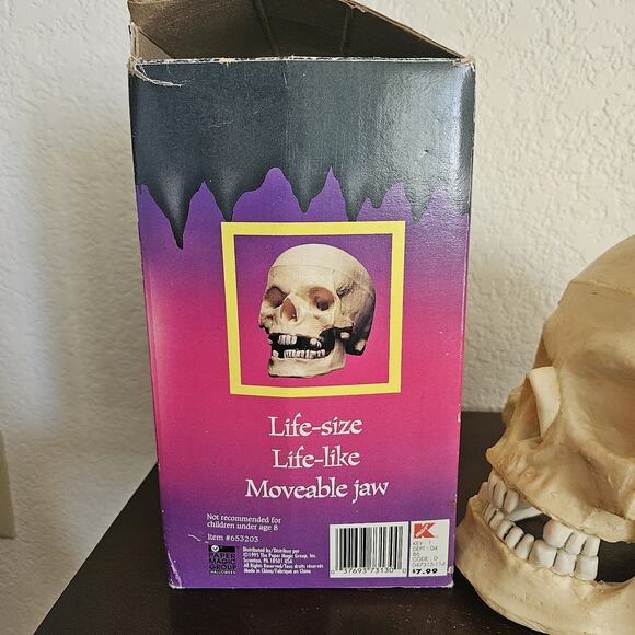 Vintage Halloween Skull Blow Mold Hinged Moveable Jaw Paper Magic Group - Picture 7 of 10